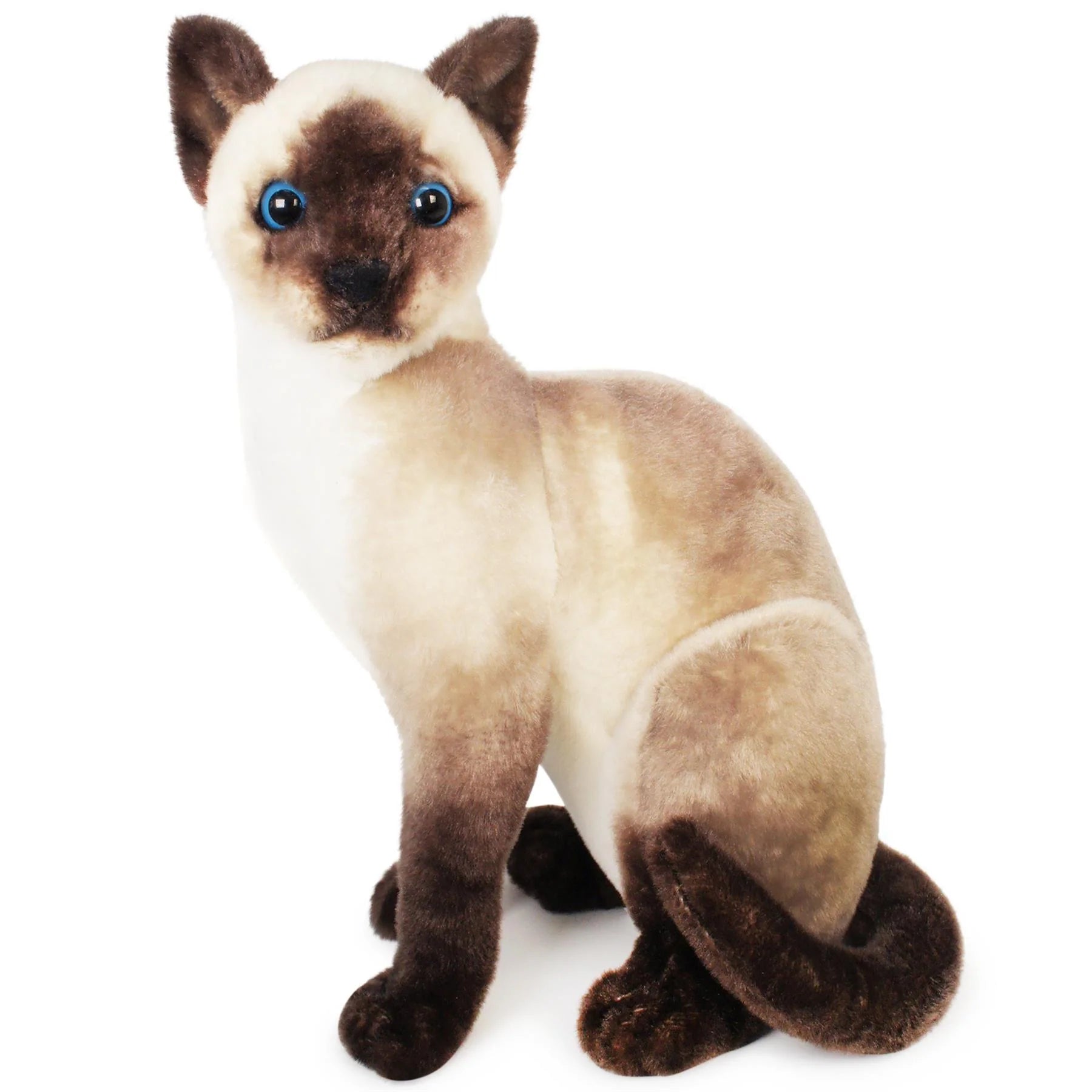 Stefan The Siamese Cat – Frankie Jean