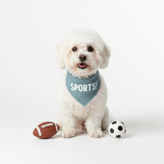 Teal bandana with 'SPORTS!' on it against a white background