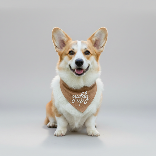Corgi dog wearing a 'giddy up' bandana in a park setting