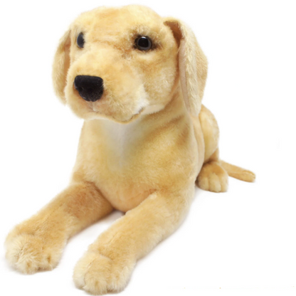 Mason The Labrador