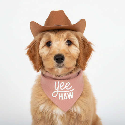 Yee Haw Bandana